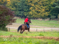 AK021025-42 - Believitanducan